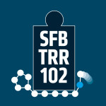 Logo SFB/TRR 102 Polymers under multiple constraints